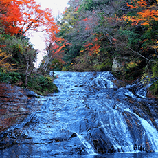 粟又の滝